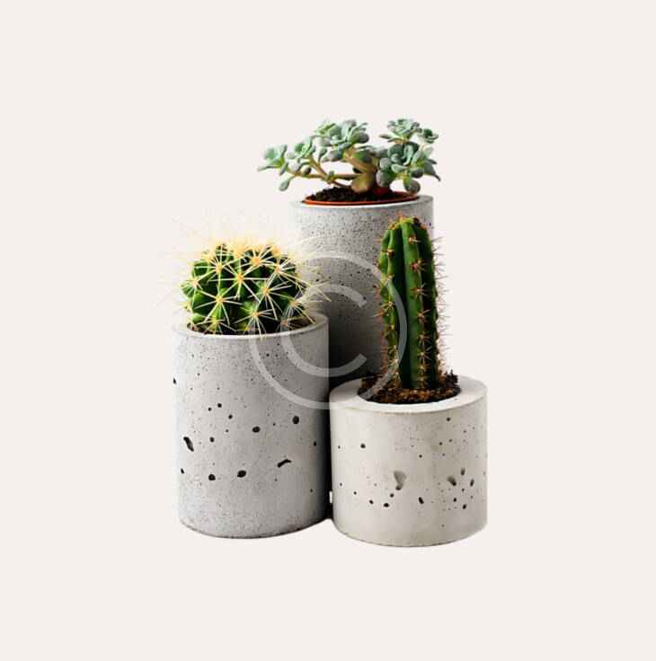 Plant pots set